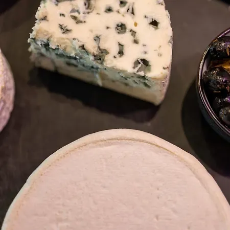 Cyano Frejus-saint Raphael Fréjus