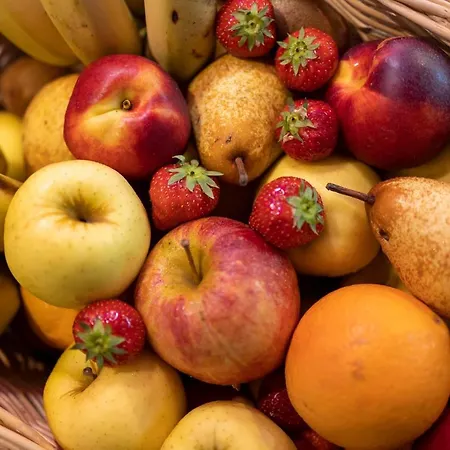 ホテル Cyano Frejus-saint Raphael