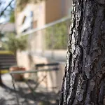 Cyano Frejus-saint Raphael Fréjus