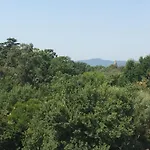 Cyano Fréjus-saint Raphaël Fréjus