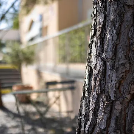 Cyano Frejus-saint Raphael Fréjus