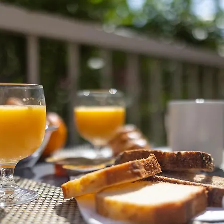 Cyano Frejus-saint Raphael Hotel Fréjus