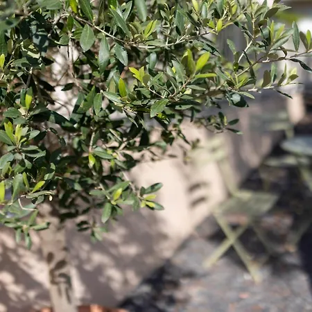 فندق Cyano Frejus-saint Raphael