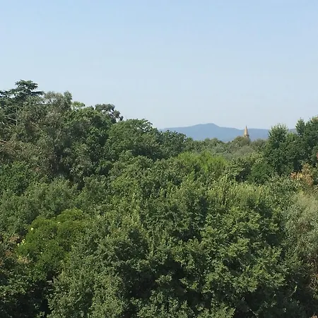 Cyano Frejus-saint Raphael Fréjus