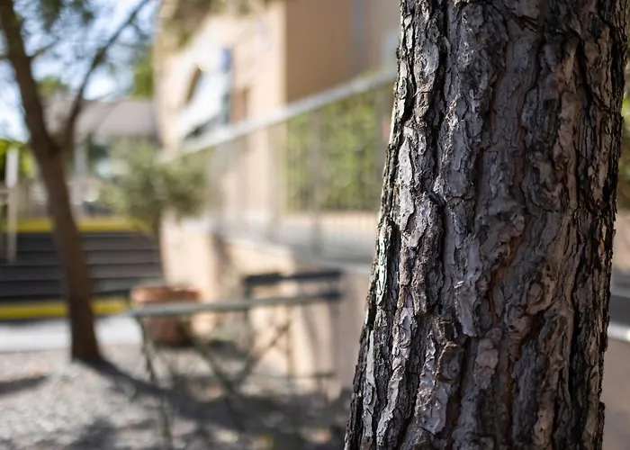 Cyano Frejus-saint Raphael Fréjus