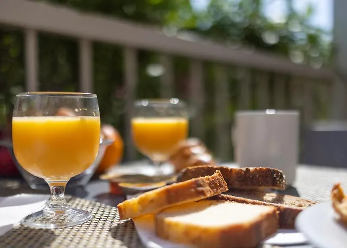 Cyano Frejus-saint Raphael Hotell Fréjus
