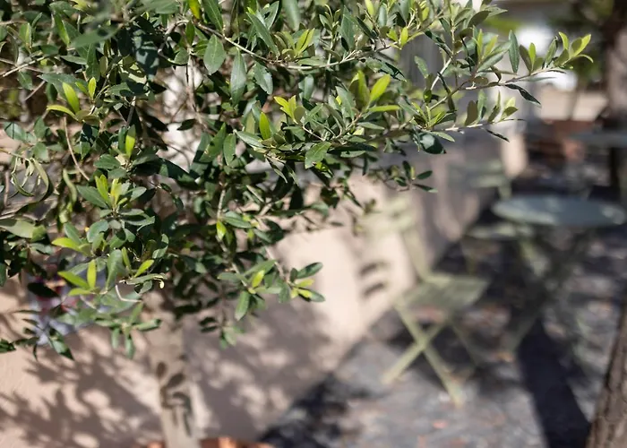 Hotell Cyano Frejus-saint Raphael