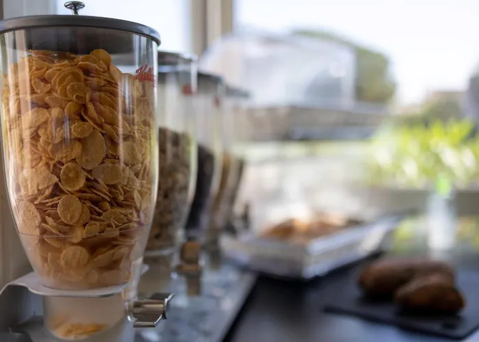 Cyano Frejus-saint Raphael