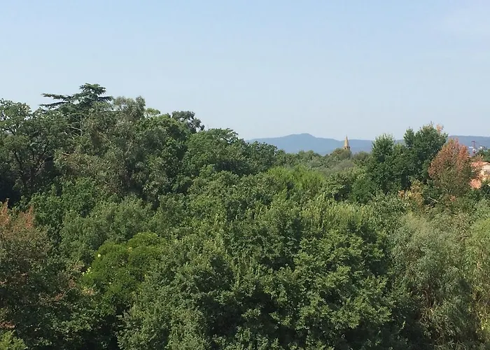 Cyano Frejus-saint Raphael Fréjus