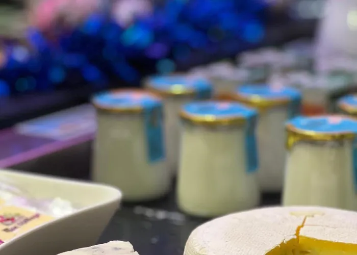 Cyano Frejus-saint Raphael Hotell